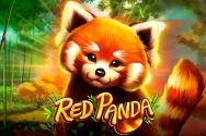 Red Panda